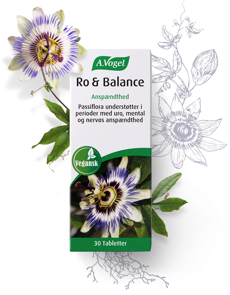 A Vogel Ro   Balance  Bull  30 Tabl