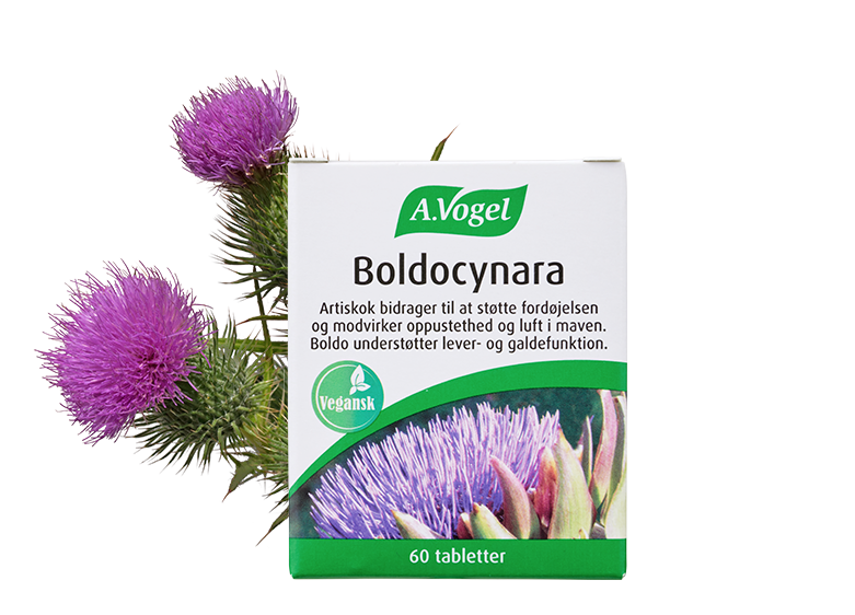 A  Vogel Boldocynara Tabletter 60 Tabl
