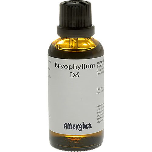 Allergica Bryophyllum D6   50 Ml